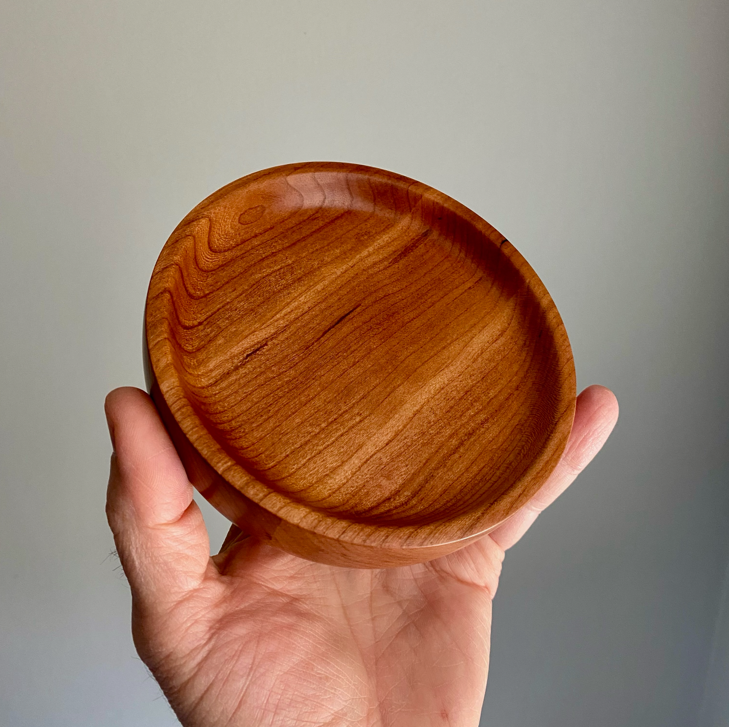 dish 005